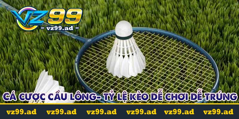 Cá cược cầu lông là gì? Tỷ lệ kèo cược dễ chơi dễ trúng 1 cá cược cầu lông là gì