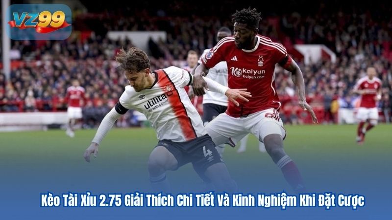 Kèo Tài Xỉu 2.75 Giải Thích Chi Tiết Và Kinh Nghiệm Khi Đặt Cược